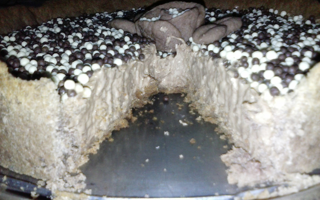 Torta mousse de chocolate