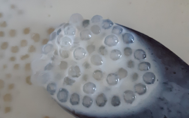 Sagu com leite condensado