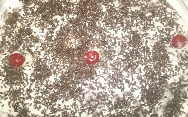 Floresta Negra fácil e rápida