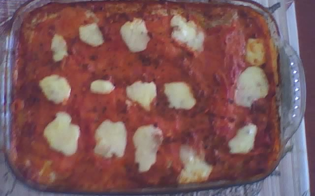 Lasanha de berinjela