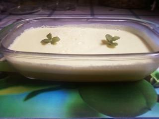 Espumone de gelatina