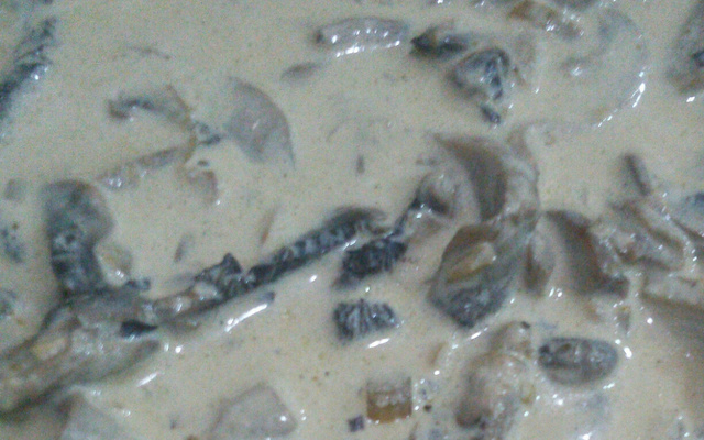 Molho de champignon fresco