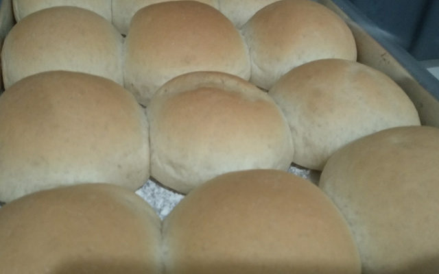 Pãozinho fácil fofinho do Cris