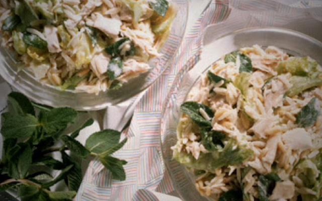 Salpicão catarinense