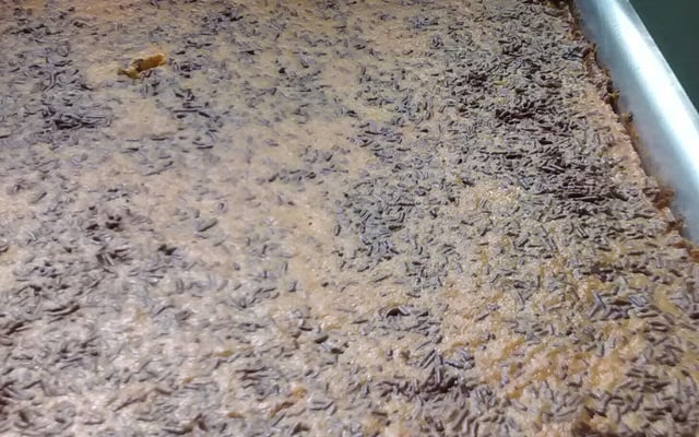 Bolo de cenoura fofinho de verdade