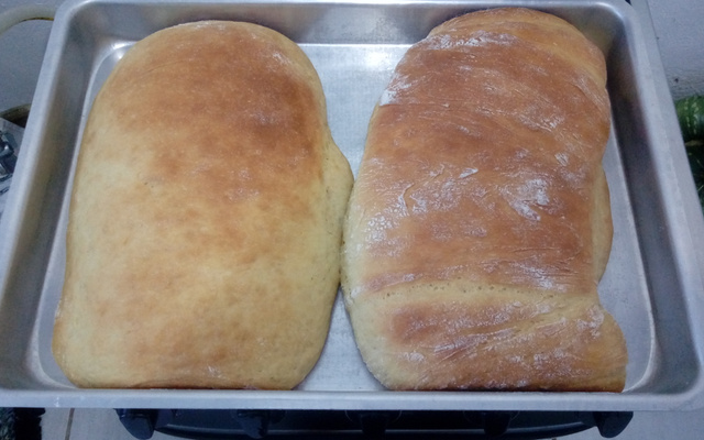 Pão econômico/sem leite