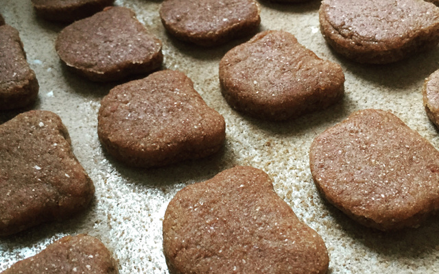 Biscoito de cebola rápido e fácil