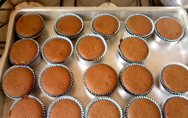 Muffins de chocolate