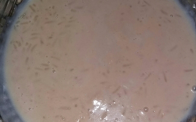 Arroz doce moreninho