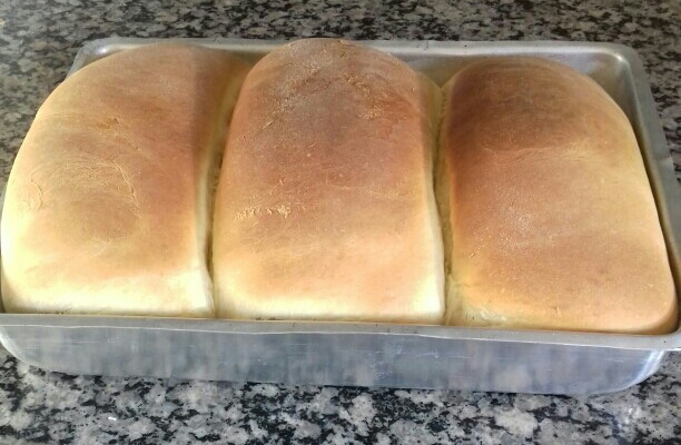 Pãezinhos de batata ou mandioquinha da Ailujz