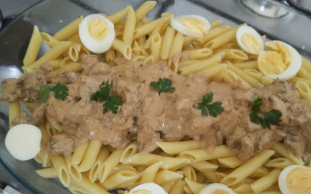 Penne com filé mignon