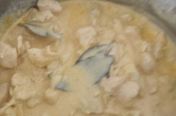 Estrogonofe sem tomate