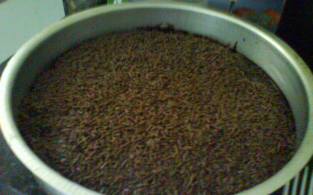 Bolo de chocolate simples e fofo