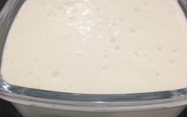 Requeijão cremoso caseiro com ricota