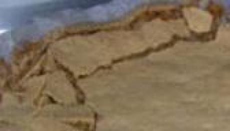 Sobremesa de pão-de-ló de nozes