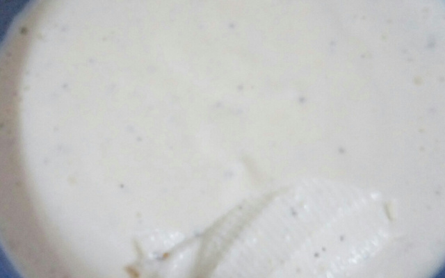 Requeijão cremoso caseiro de kefir