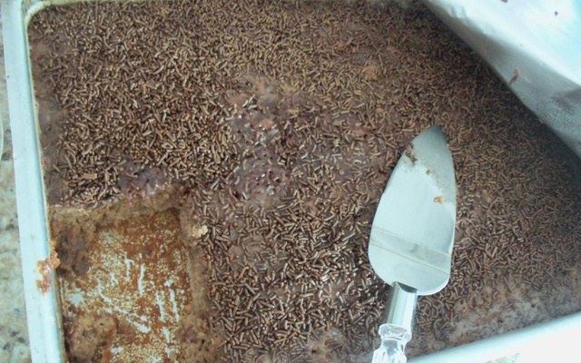 Toalha felpuda de chocolate