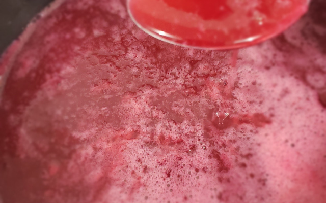 Geleia diet de Jabuticada