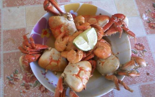 Caranguejo de coco com camarão