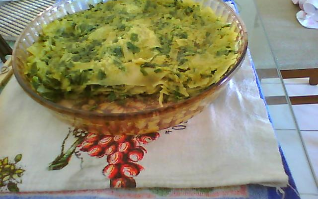 Lasanha verde e amarela