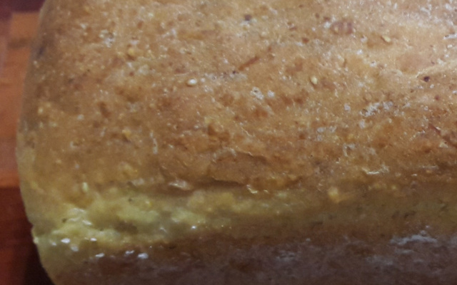 Pão de milho com aveia