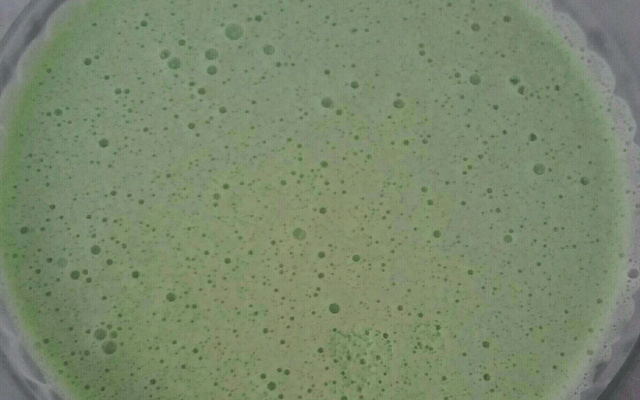 Sobremesa rápida de gelatina