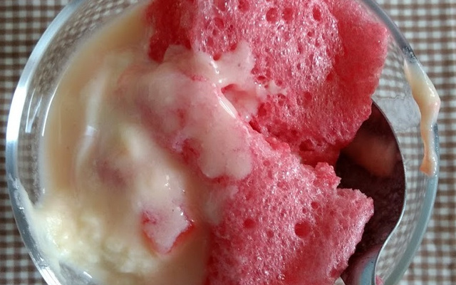 Gelatina especial