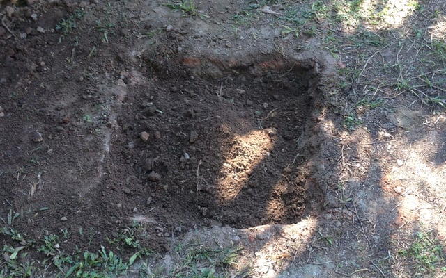 Frango na cauera (enterrado)