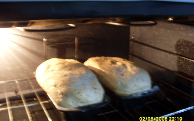 Pão integral com farinha integral, linhaça e aveia