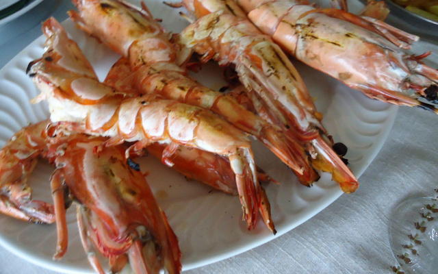 Camarão tigre dos deuses