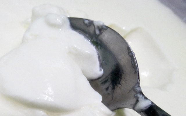 Iogurte de leite em pó