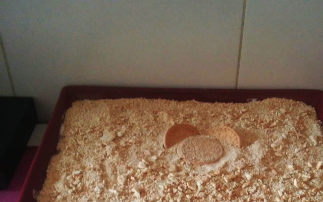 Bolo de bolacha delicioso