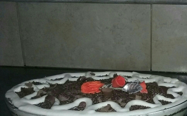 Meu pavê de coco e chocolate