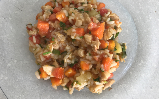 Canja de galinha rápida