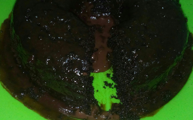 Bolo de chocolate sem farinha e sem trigo