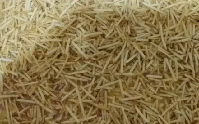 Fricassê de carne moída