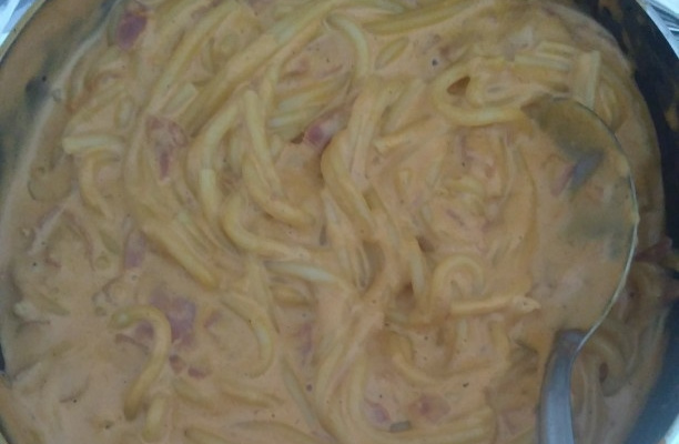 Macarrão ao molho de queijo e presunto