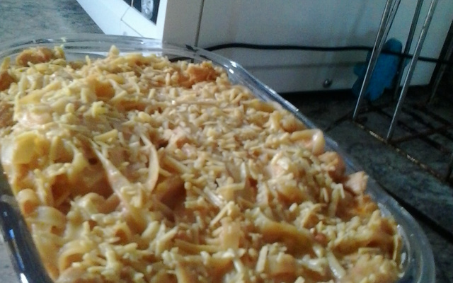 Estrogonofe com macarrão