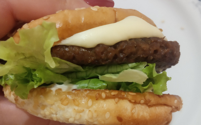 Hamburguer de soja
