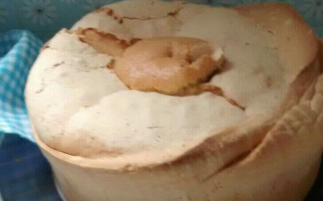 Brevidade da vó Nice