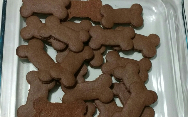 Bolachinhas de chocolate