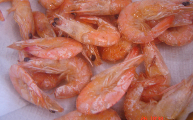 Cabotiá com camarão do Wandervilha