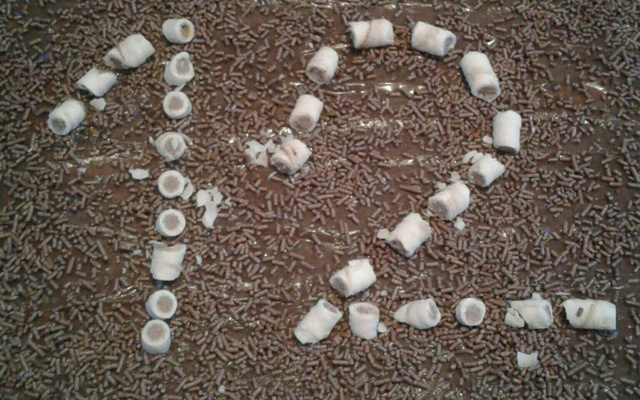 Massa de bolo branco para rechear