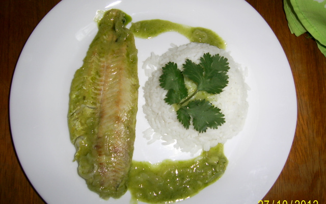 Filé Peixe ao Molho Verde