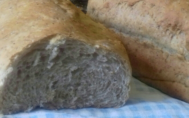 Pão semi integral