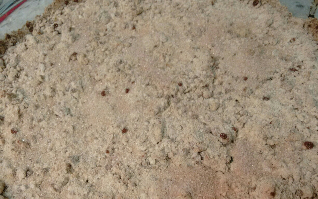 Torta de maçã crocante