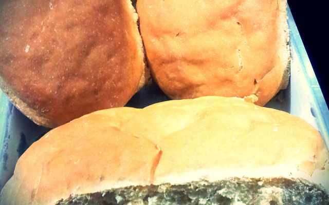 Pão caseiro para principiantes