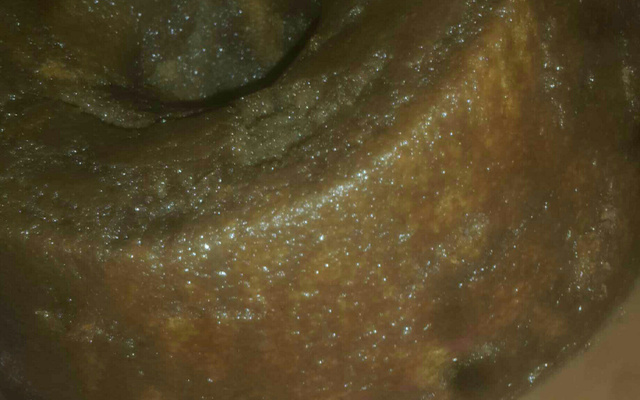 Bolo de chocolate molhado da Jú