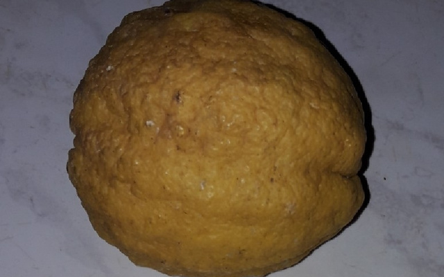 Pastéis de nata ao meu jeito