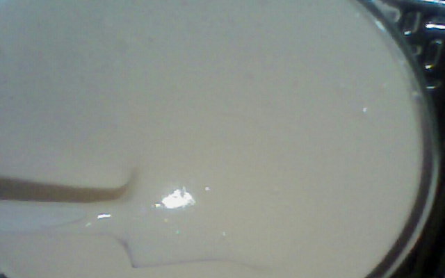 Creme quatro leites para pavê